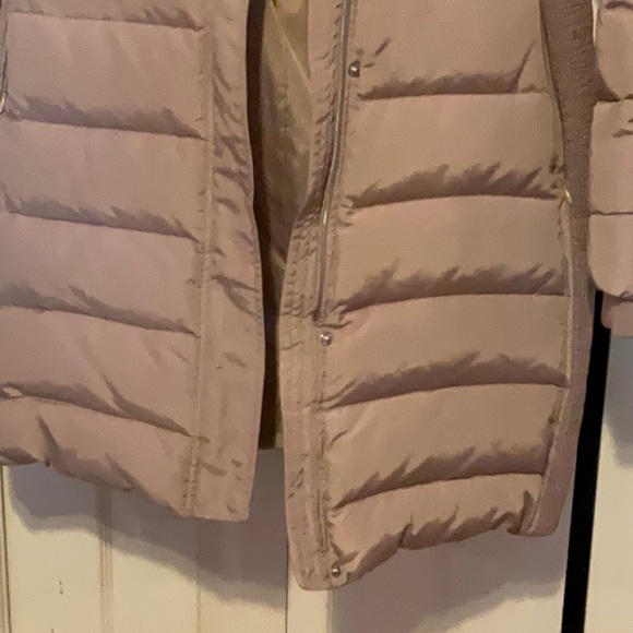 Express puffy coat - Picture 5 of 6